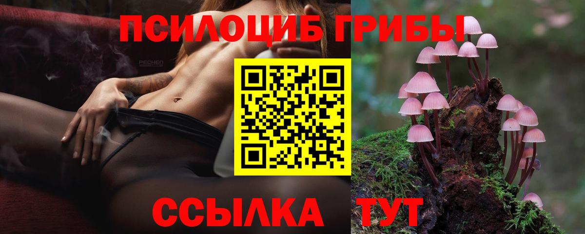Псилоцибиновые грибы Psilocybe Октябрьский